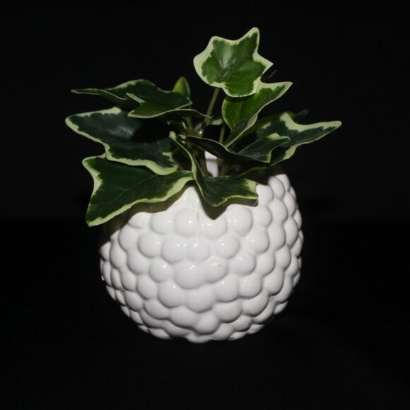 Hedgehog Plant Pot | Animal Flower Pot | Indoor Planter - Picture 4 of 8